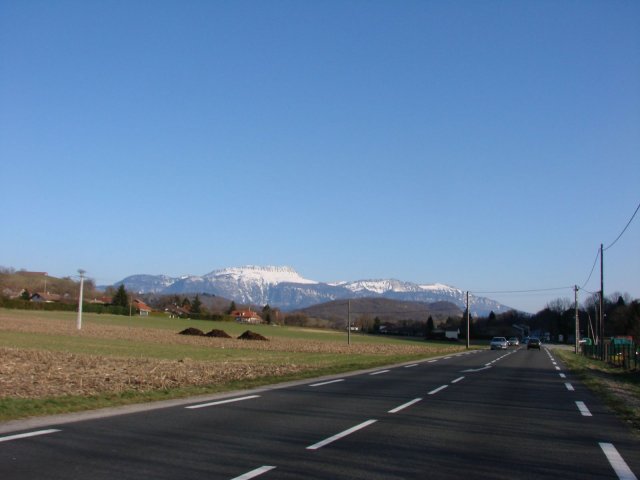 Alpy